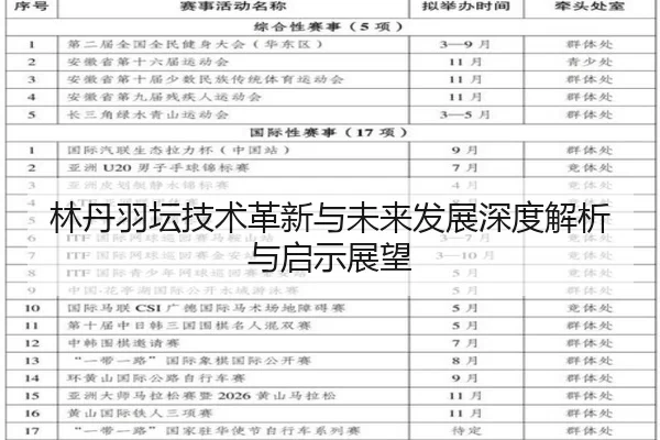 林丹羽坛技术革新与未来发展深度解析与启示展望