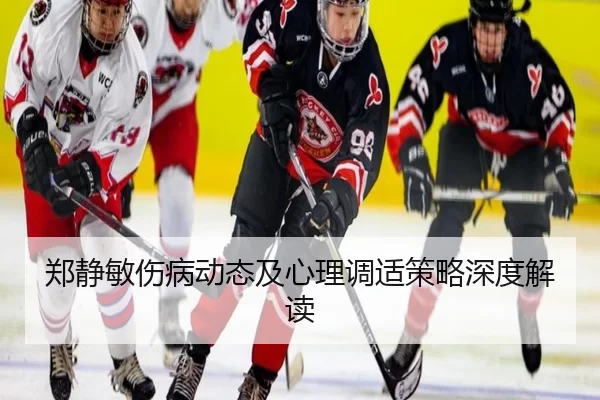 郑静敏伤病动态及心理调适策略深度解读